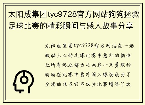 太阳成集团tyc9728官方网站狗狗拯救足球比赛的精彩瞬间与感人故事分享